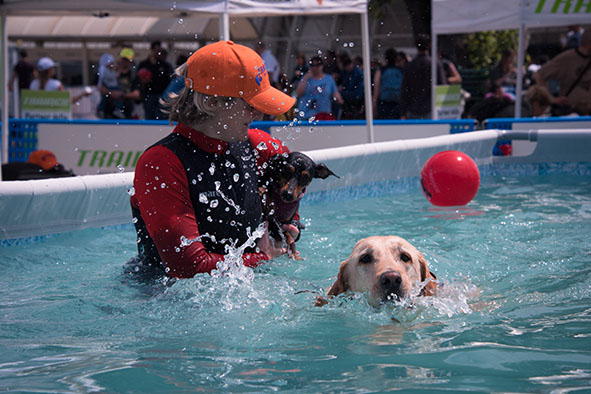 Dog Sport a Quattrozampeinfiera