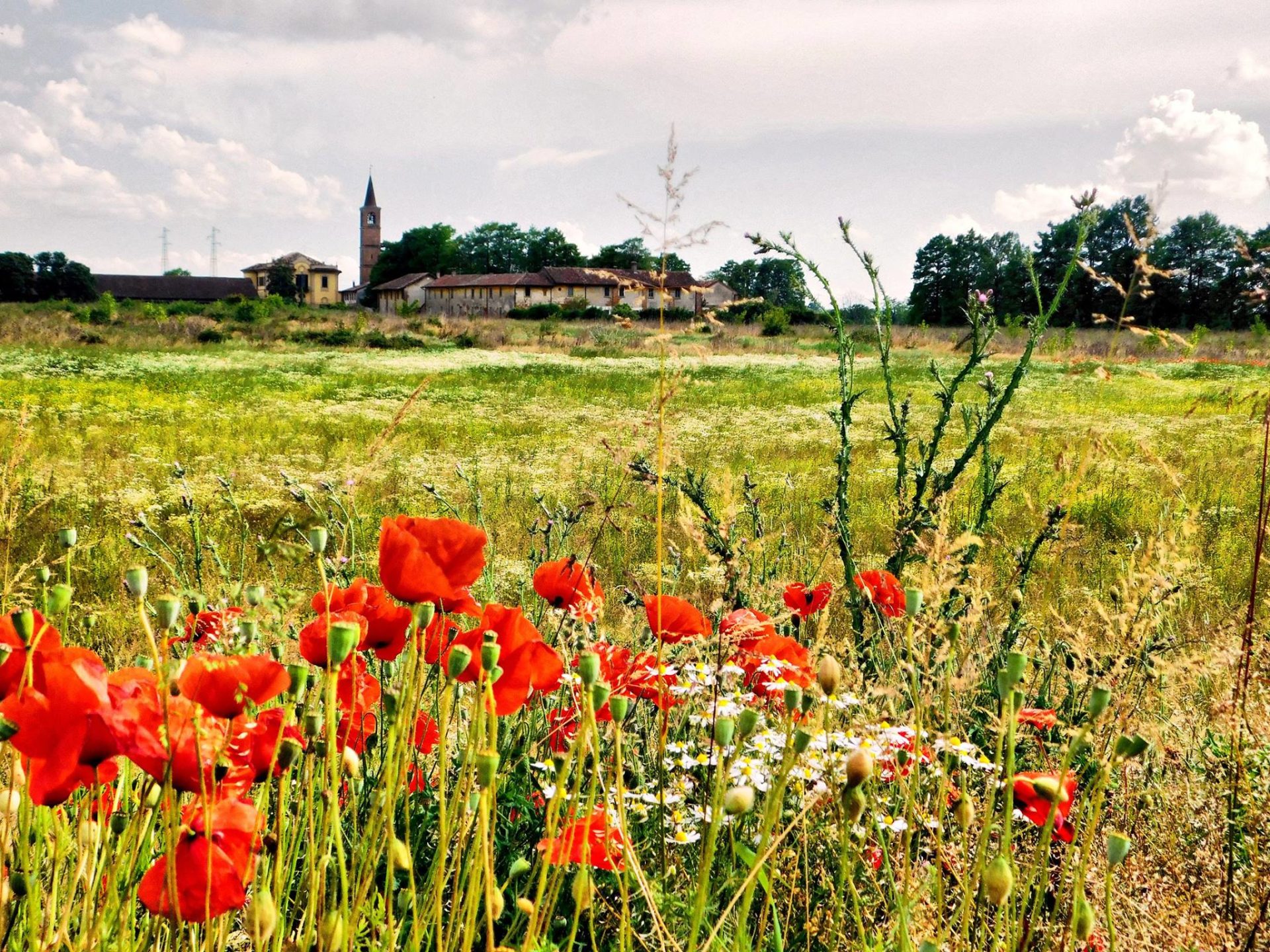 Locate Di Triulzi, Un Comune Dalla Bellezza Intramontabile