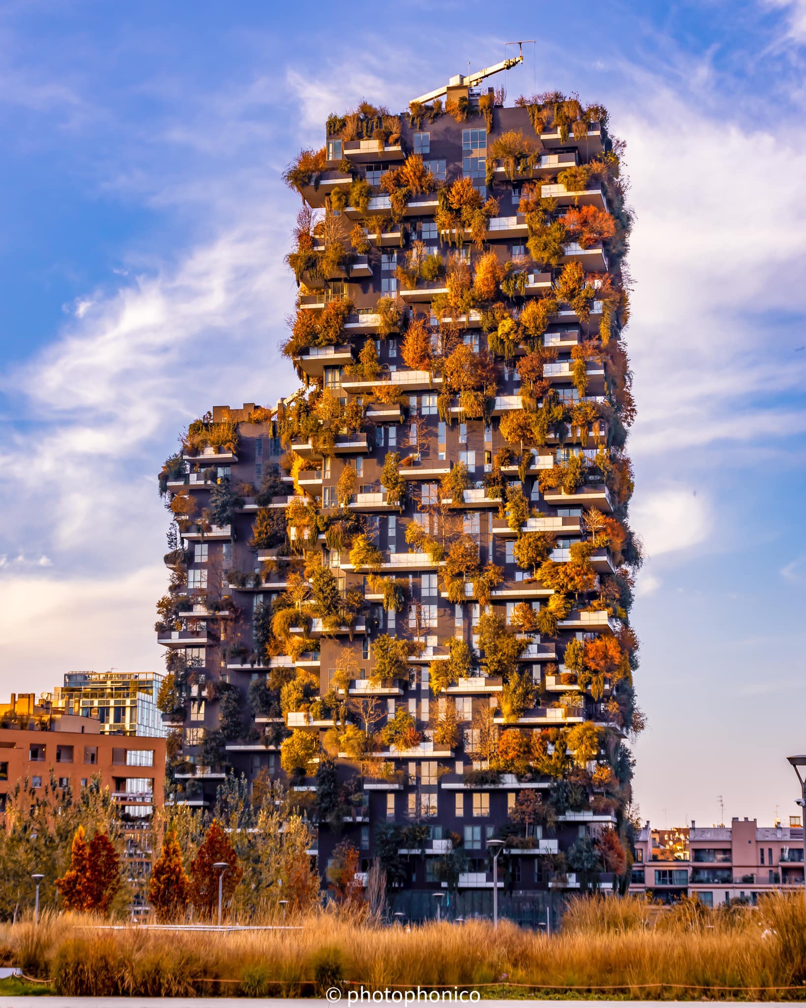 bosco verticale bosco verticale