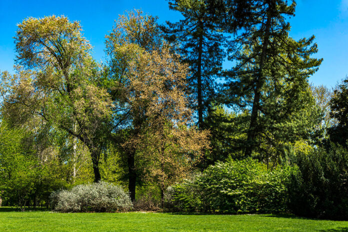 Lombardia seconda regione più green d'italia