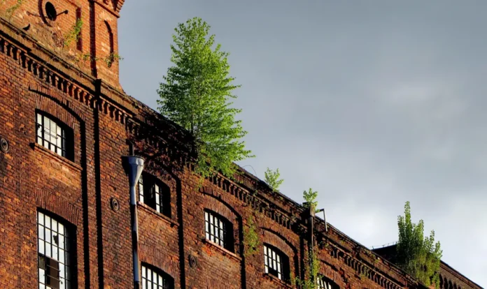 Archeologia industriale e nuova creatività: come la Bicocca sta ridisegnando il volto degli eventi a Milano